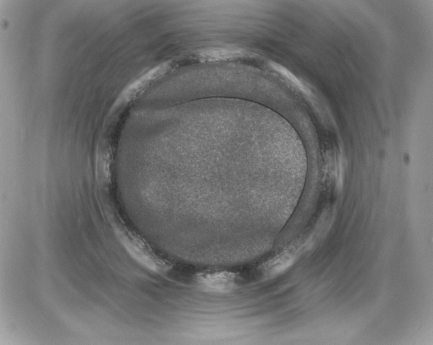 X0000085810452200704131951