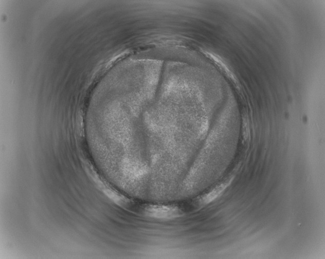 X0000085810453200704131951