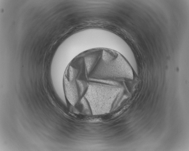 X0000085810456200704131951