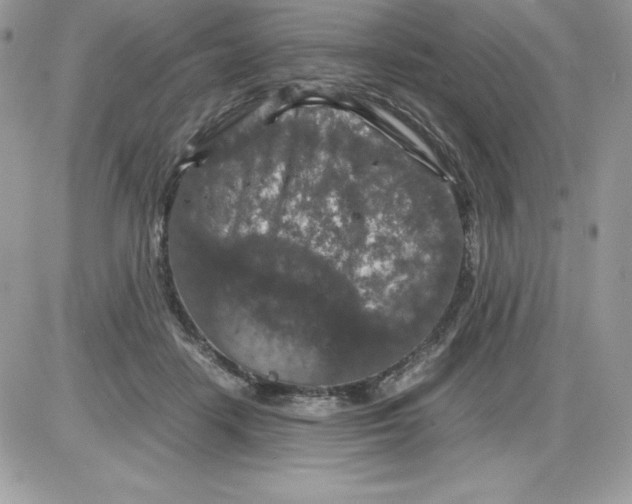 X0000085810458200704131951