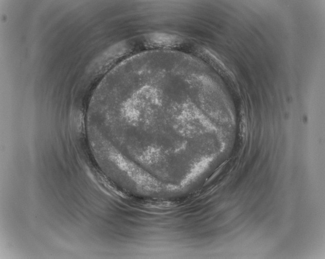 X0000085810459200704131951