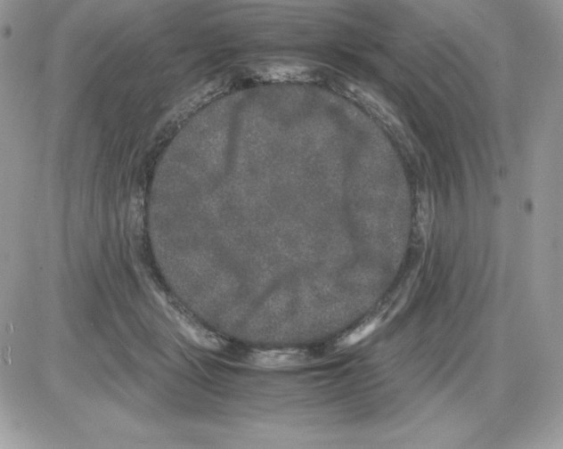 X0000085810461200704131951