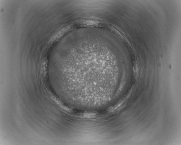 X0000085810462200704131951