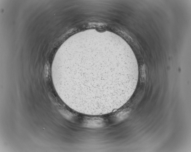 X0000085810463200704131951