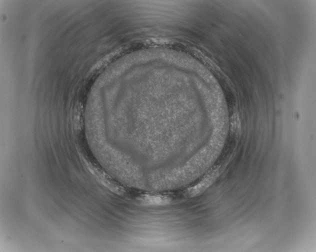 X0000085810464200704131951