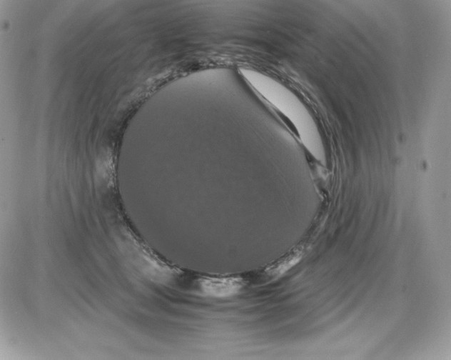 X0000085810465200704131951