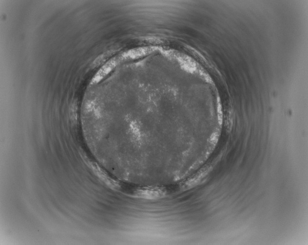 X0000085810466200704131951