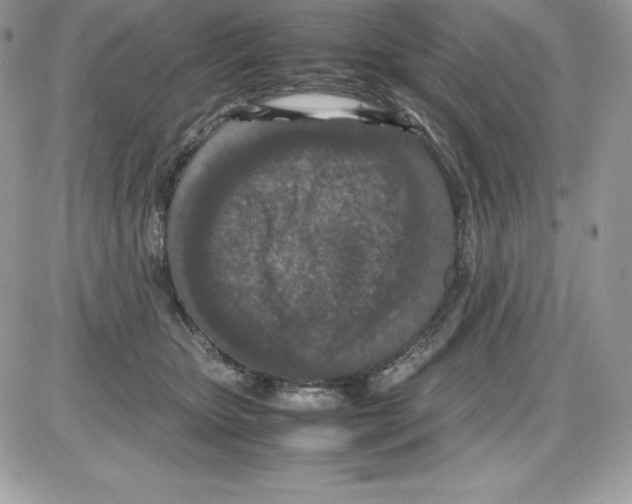 X0000085810467200704131951