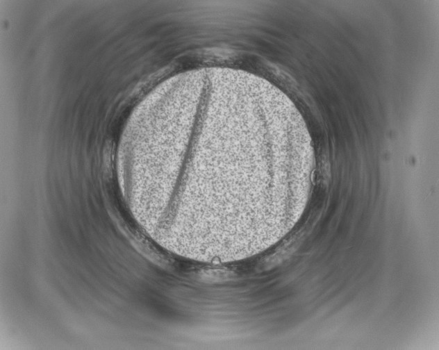 X0000085810468200704131951