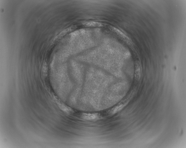 X0000085810469200704131951