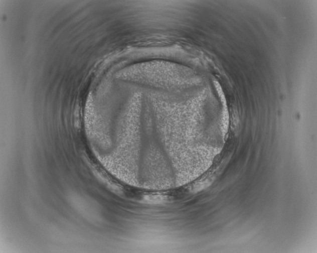 X0000085810470200704131951