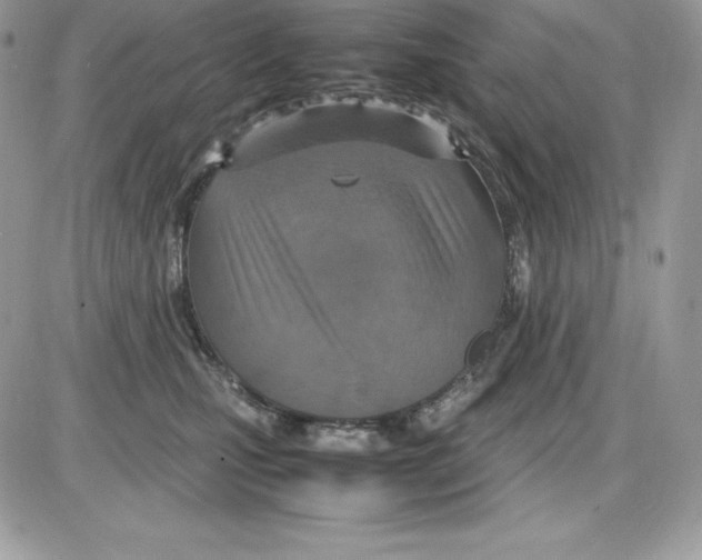 X0000085810471200704131951