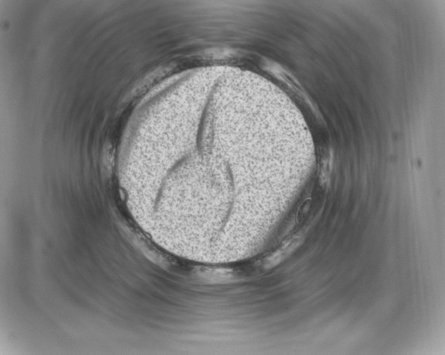 X0000085810476200704131951