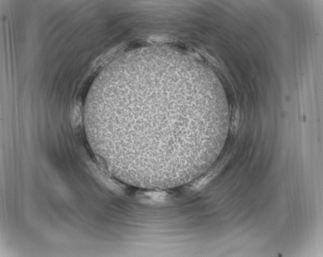 X0000085810478200704131951