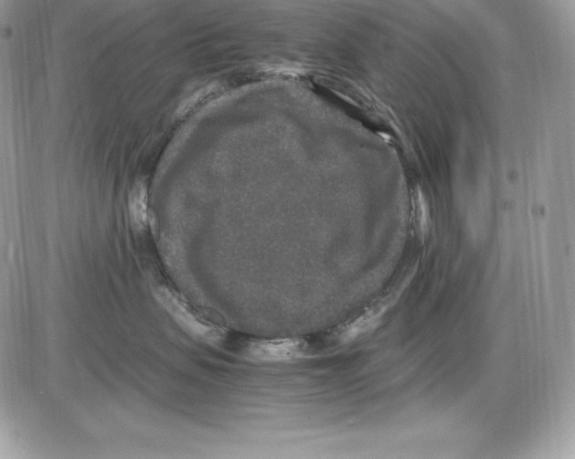 X0000085810479200704131951