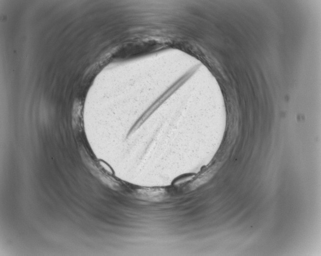 X0000085810480200704131951