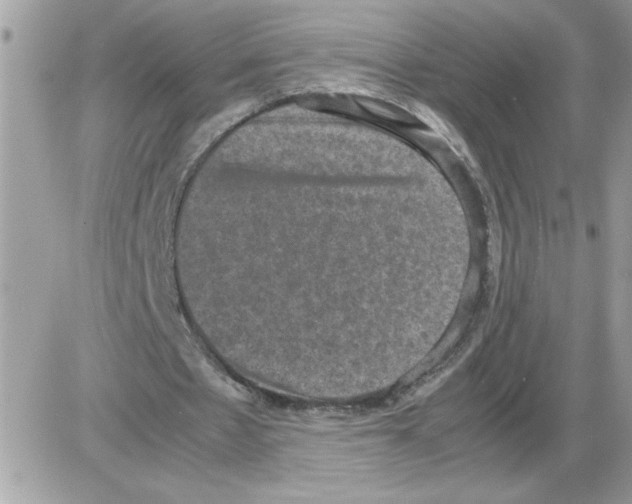 X0000085810481200704131950