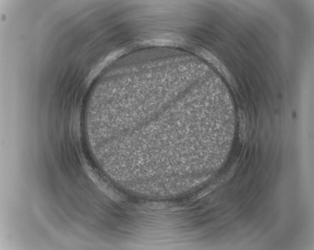 X0000085810482200704131950