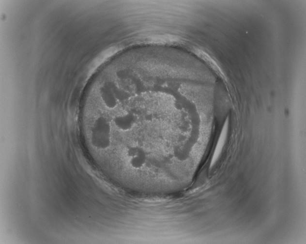 X0000085810483200704131950