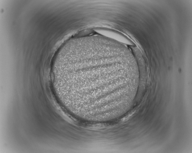 X0000085810485200704131950