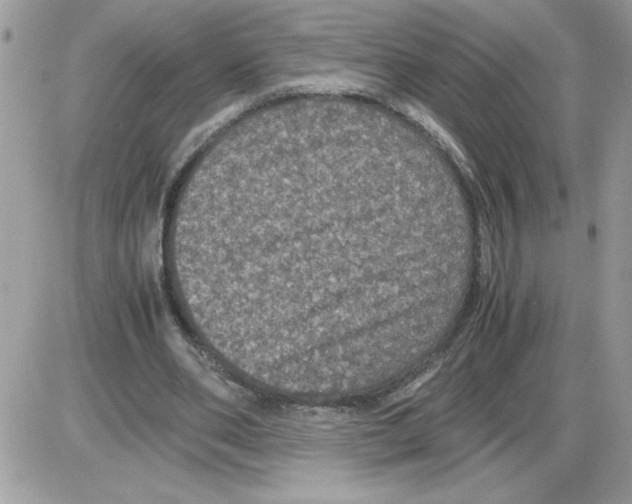 X0000085810486200704131950