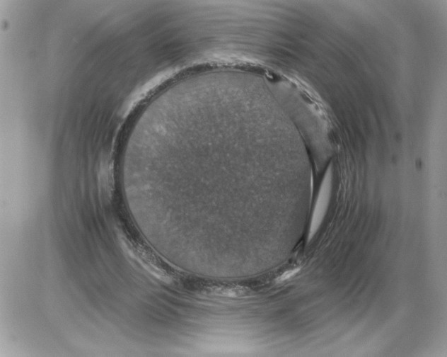 X0000085810488200704131950