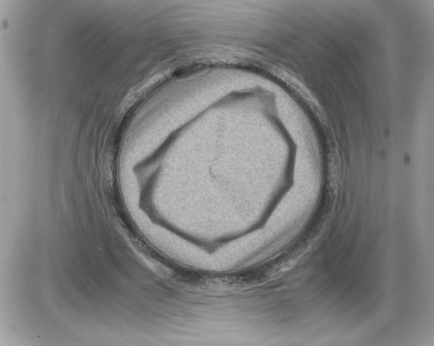 X0000085810489200704131950