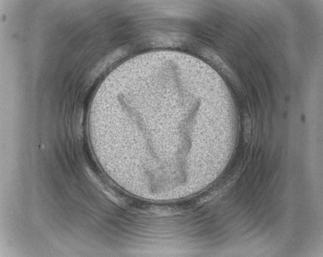 X0000085810490200704131950