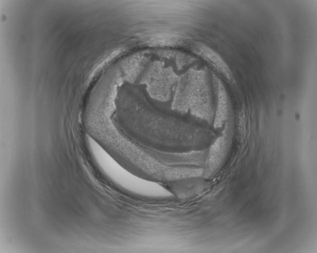 X0000085810491200704131950