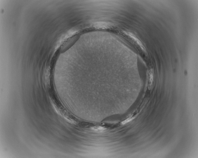 X0000085810492200704131950