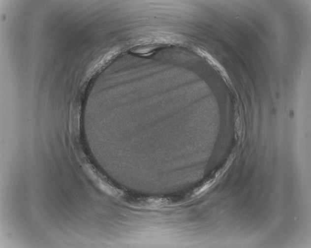 X0000085810493200704131950