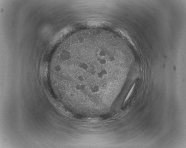 X0000085810495200704131950