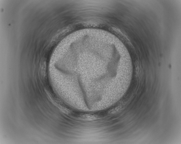 X0000085810498200704131950