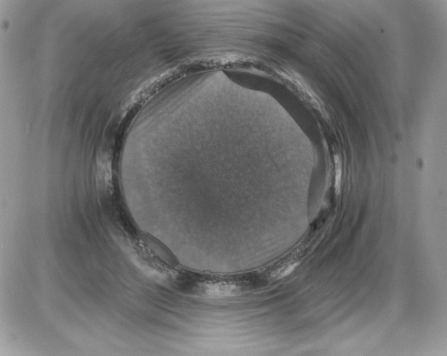 X0000085810500200704131950