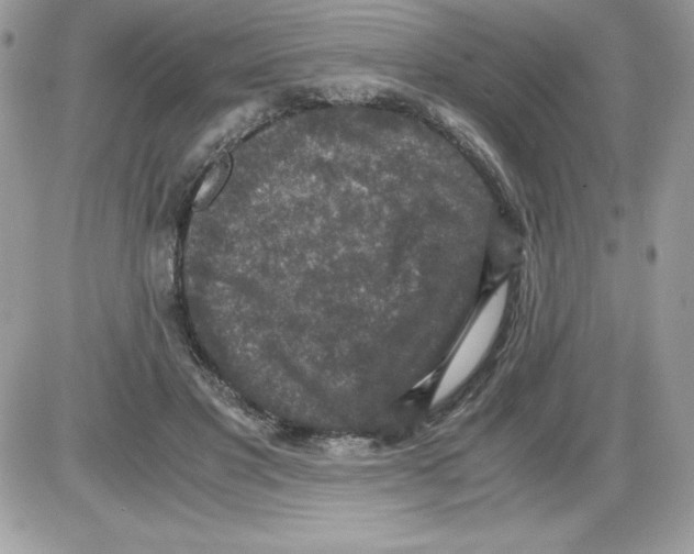 X0000085810501200704131950