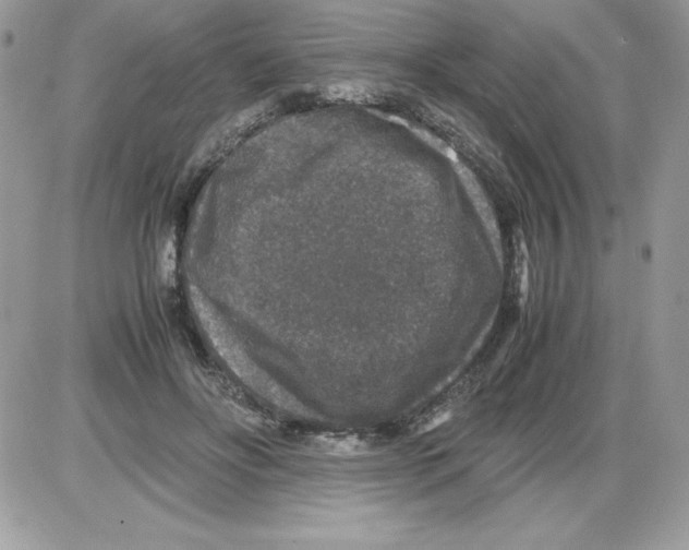 X0000085810502200704131950