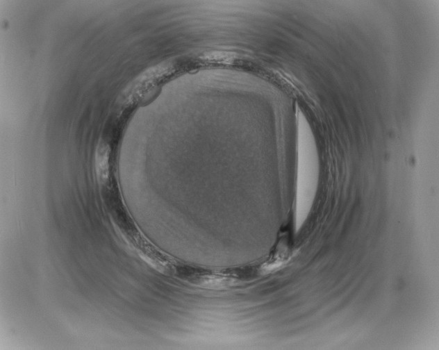 X0000085810504200704131950