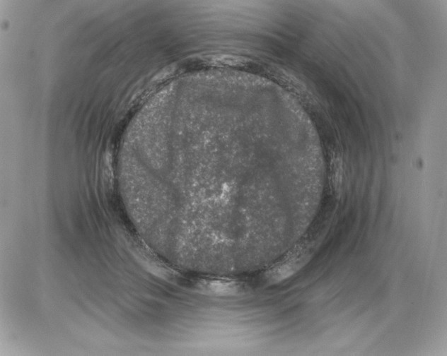 X0000085810506200704131950