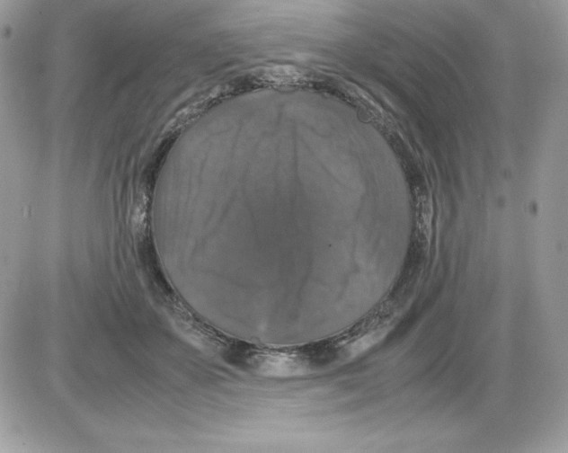 X0000085810507200704131950