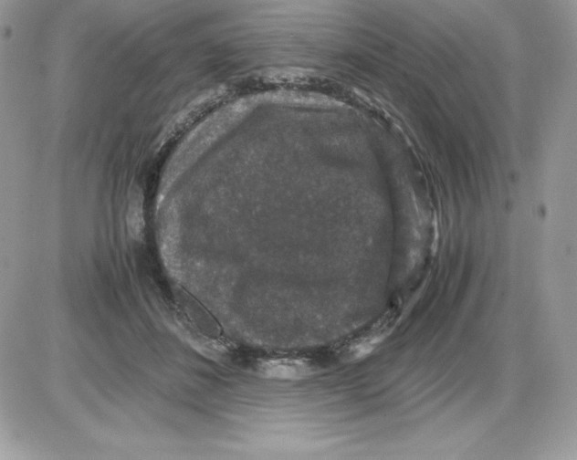 X0000085810508200704131950