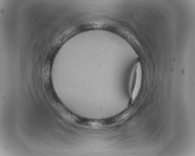 X0000085810509200704131950