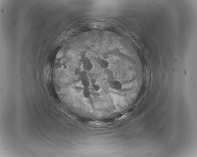 X0000085810511200704131950