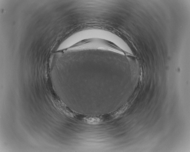 X0000085810512200704131950