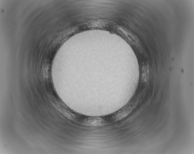 X0000085810514200704131950