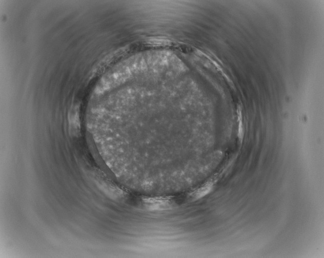 X0000085810516200704131950