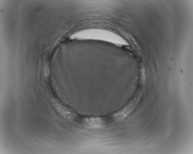 X0000085810517200704131950