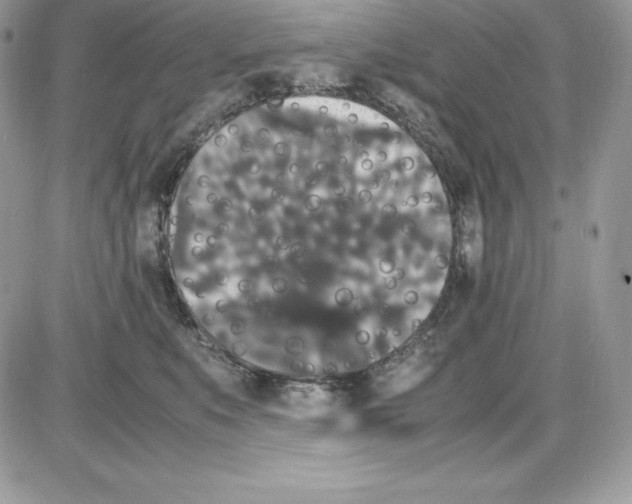 X0000085810519200704131950