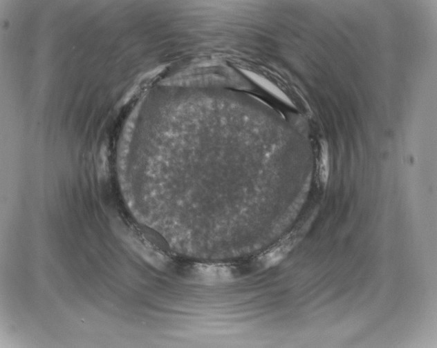 X0000085810520200704131950