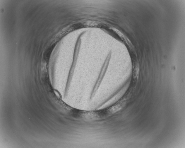 X0000085810521200704131950