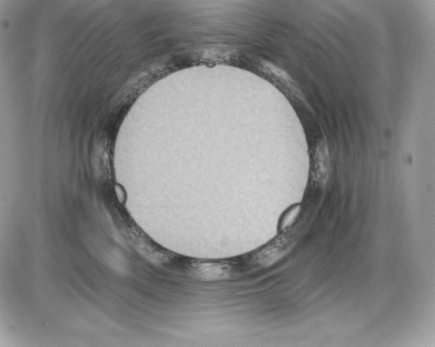 X0000085810522200704131950